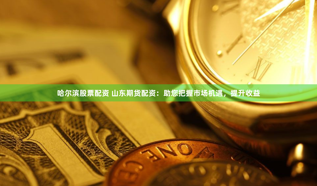 哈尔滨股票配资 山东期货配资：助您把握市场机遇，提升收益
