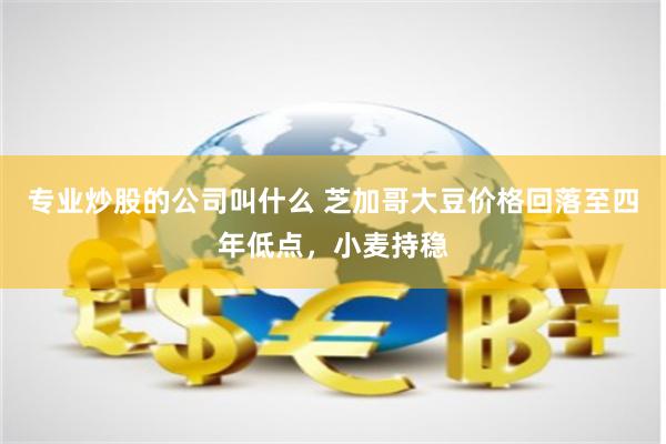 专业炒股的公司叫什么 芝加哥大豆价格回落至四年低点，小麦持稳