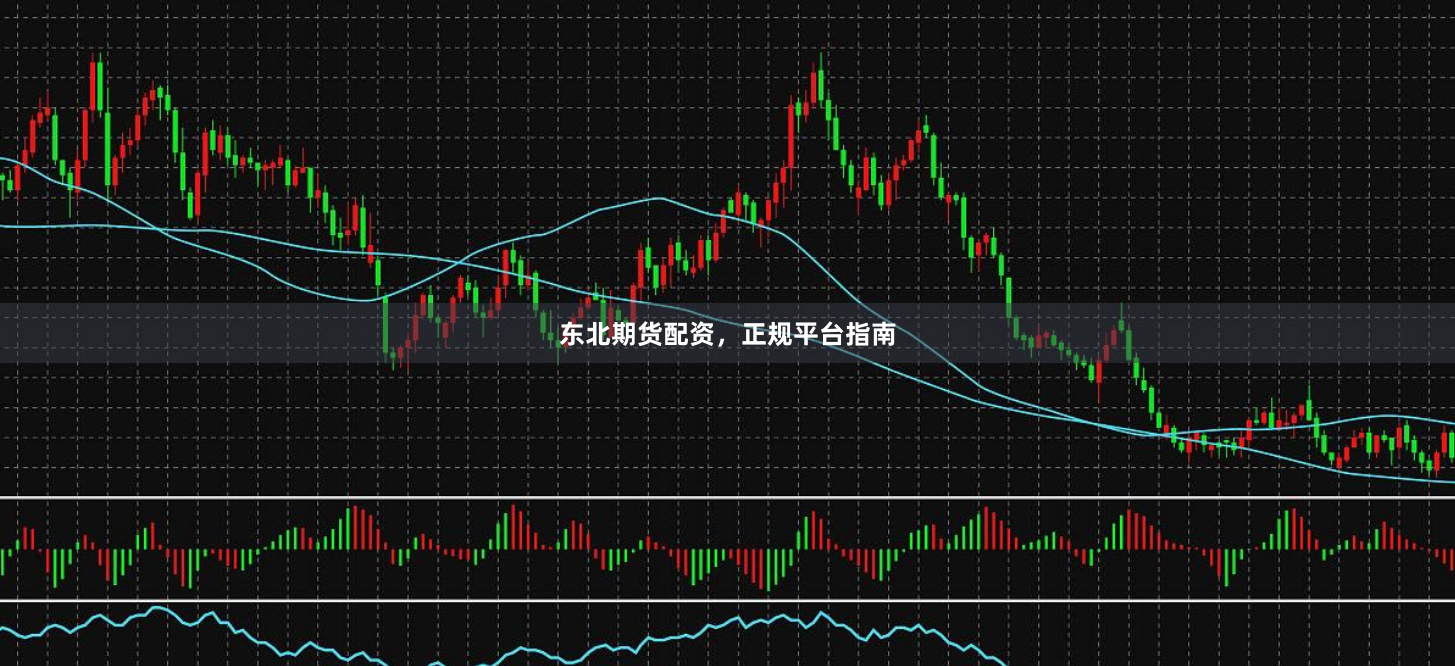 东北期货配资，正规平台指南