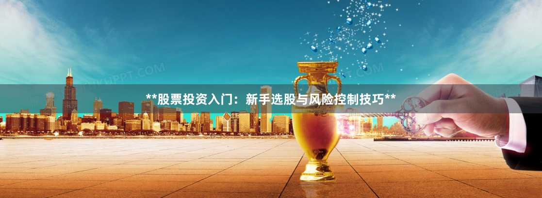 **股票投资入门：新手选股与风险控制技巧**