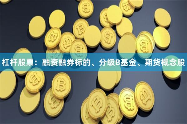 杠杆股票：融资融券标的、分级B基金、期货概念股